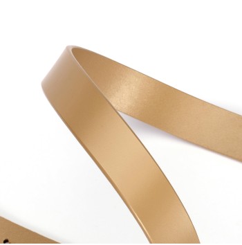 Classic Fashion Belt for Women